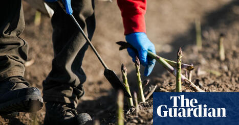 USA: Farmers fear Trump trade winds could damage crops | AMÉRIQUES | Scoop.it