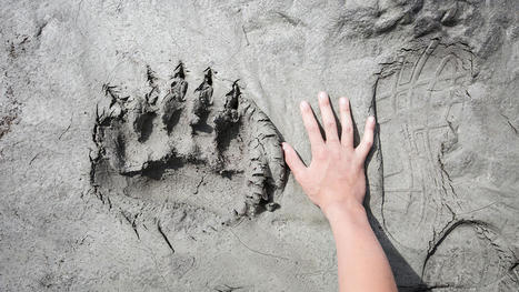 Leadership Training Shouldn’t Just Be for Top Performers | People-Centric Solutions | Scoop.it