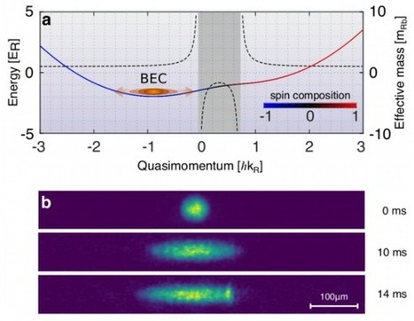 Masa efectiva negativa en un condensado de Bose-Einstein superfluido | Ciencia-Física | Scoop.it