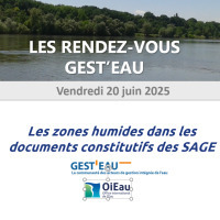 Prochain RDV Gest'eau : les zones humides dans les documents constitutifs des SAGE | Environnement - Développement durable - Climat | Scoop.it