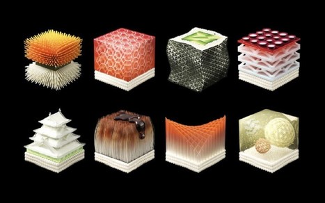 Un restaurant va examiner la sant&eacute; de ses clients pour concocter des sushis sur-mesure | (Macro)Tendances Tourisme & Travel | Scoop.it