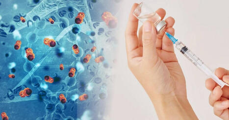 Descubren que las vacunas de ARNm contra la COVID-19 alargan la vida de pacientes con cáncer: mejoran la respuesta a la inmunoterapia y duplican la supervivencia en tumores avanzados | Santiago Sanz Lastra | Scoop.it