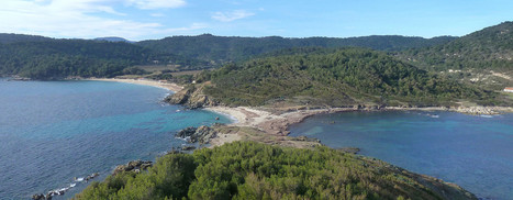 "L'attitude mer", le num&eacute;ro 18 est disponible - Parc National de Port-Cros | Biodiversit&eacute; | Scoop.it