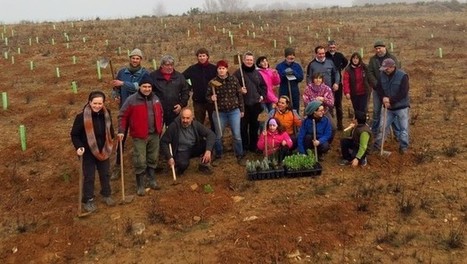 Muérdago organiza una reforestación en el entorno de la balsa del Pulguer | Ordenación del Territorio | Scoop.it