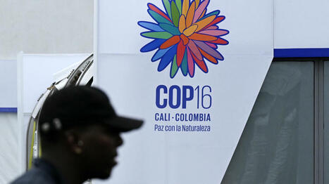 COP16 biodiversité : à quoi va servir le sommet qui s'ouvre à Cali, en Colombie ? | Plant Sciences | Scoop.it