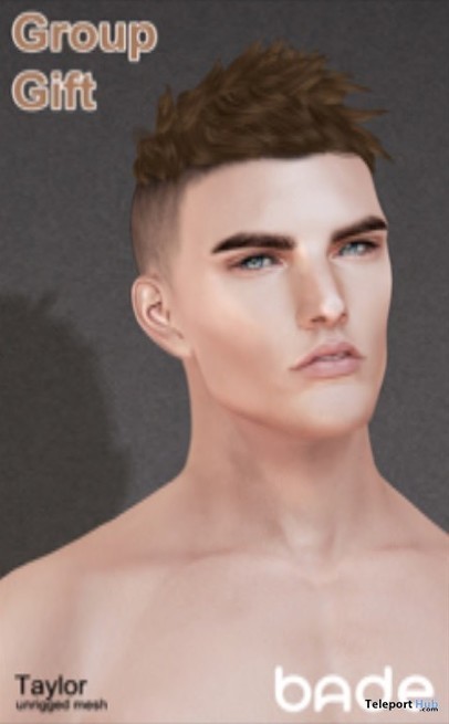 Taylor Hair For Men with HUD Group Gift by bade...