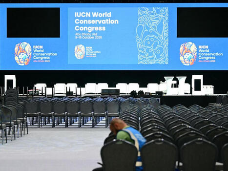 L'UICN choisit de faire confiance à la biologie de synthèse | EntomoScience | Scoop.it