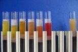 Diez blogs para estudiar ciencias en Secundaria y Bachillerato | EROSKI CONSUMER | TIC-TAC_aal66 | Scoop.it