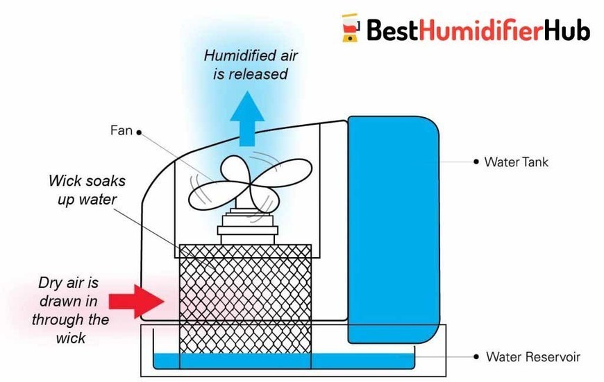 How Do Humidifiers Work Pros and Cons Best