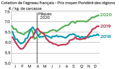 Envolée du prix de l’agneau en 2020 | Actualité Bétail | Scoop.it