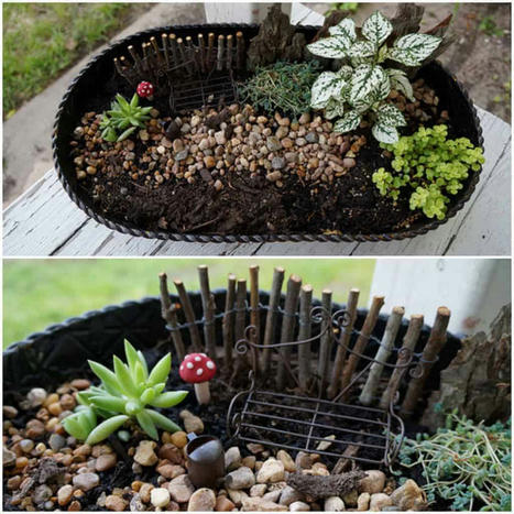 Miniature Garden | 1001 Gardens ideas ! | Scoop.it