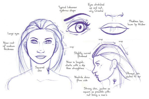 Human Anatomy Fundamentals: Advanced Facial Fea...