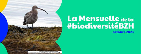 La Mensuelle de la #biodiversitéBZH [oct. 2023] Aménagement 🏗 Recherche-action 🔎 Littoral 🌊 | Biodiversité | Scoop.it
