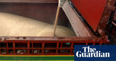 Ukraine and UN chief call for new grain deal to safeguard global food supplies | Global food crisis | The Guardian | International Economics: IB Economics | Scoop.it