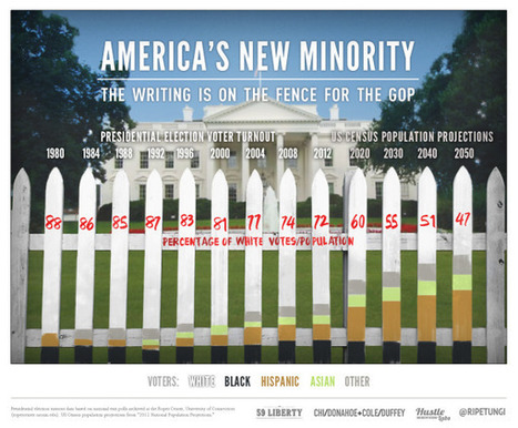 America's New Minority | Cool Infographics | World's Best Infographics | Scoop.it