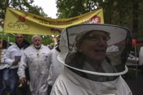 Des apiculteurs et des apicultrices manifestent contre les pesticides à Toulouse et Bordeaux | Variétés entomologiques | Scoop.it
