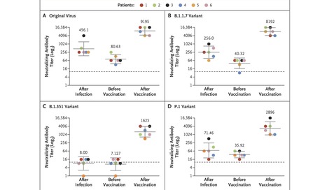 Neutralizing Response Against Variants After SARS-CoV-2 Infection and One Dose of BNT162b2 | NEJM | Virus World | Scoop.it