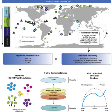 The ocean contains nearly 200,000 kinds of viruses | Virus World | Scoop.it