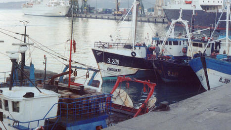 Supporting the fight against IUU FISHING in the MEDITERRANEAN | CIHEAM Press Review | Scoop.it