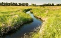 La biodiversité ordinaire de retour dans les carrières | Paysage - Agriculture | Scoop.it