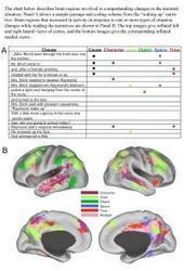 Readers build vivid mental simulations of narrative situations, brain scans suggest | attention | Scoop.it