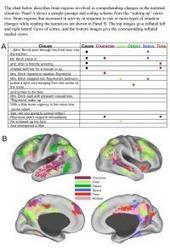 Readers build vivid mental simulations of narrative situations, brain scans suggest | Augmented, Alternate and Virtual Realities in Education | Scoop.it