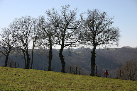 Paysages de l'Aveyron: Sainte Juliette - Cante merle | Aveyron | Scoop.it