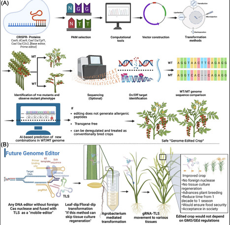 Green leaf volatile sensory calcium transductio...