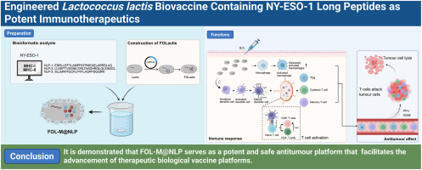 Engineered Lactococcus lactis biovaccine containing NY-ESO-1 long peptides as potent immunotherapeutics | mtb | RMH | Scoop.it
