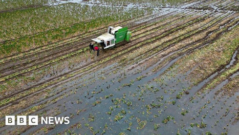 Food security threatened by extreme flooding, farmers warn | Aggregate Demand and Supply | Scoop.it