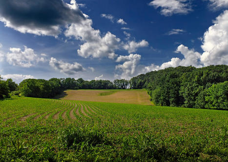 [Podcast]  L'agroécologie est elle l'aube d'une nouvelle ère de notre rapport à la nature ? - euradio — Animons l’Europe ! | SCIENCES DU VEGETAL | Scoop.it