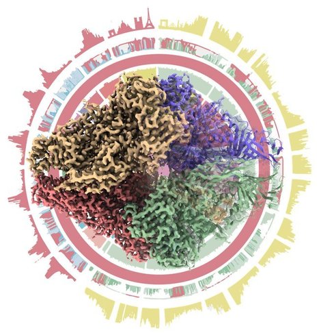 Structural Bioinformatics Mini-Symposium on 8th July @JOBIM2021 | I2BC Paris-Saclay | Scoop.it