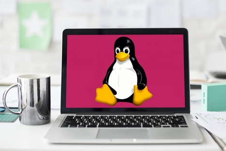 Distribuciones Linux populares para los recién llegados | tecno4 | Scoop.it