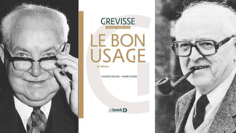 Le saviez-vous ? Les deux plus grands ma&icirc;tres de la langue fran&ccedil;aise sont... Belges ! - RTBF Actus | Metaglossia: The Translation World | Scoop.it