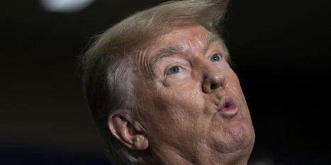 'News Conference is no longer necessary!' Trump backtracks after promising voter fraud proof - RawStory.com | Backstabber Watch | Scoop.it