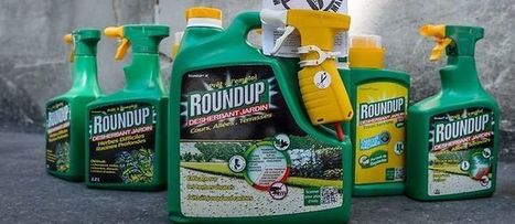 L'offensive de Ségolène Royal contre le Roundup de Monsanto | Toxique, soyons vigilant ! | Scoop.it