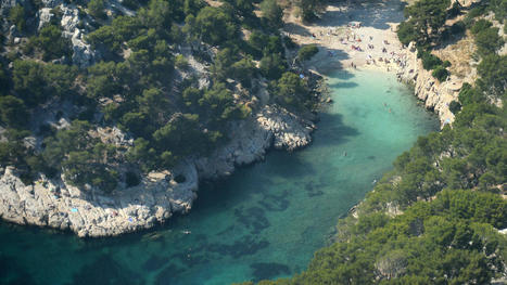 Environnement : bientôt un "permis de visite" pour préserver les Calanques de Marseille | Biodiversité | Scoop.it