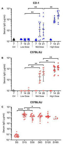 Vaccines | Free Full-Text | Single-Dose Intranasal Administration of AdCOVID Elicits Systemic and Mucosal Immunity against SARS-CoV-2 and Fully Protects Mice from Lethal Challenge | Mucosal Immunity | Scoop.it