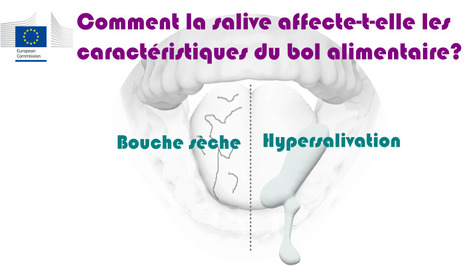 Comment la salive affecte-t-elle les caract&eacute;ristiques du bol alimentaire de pain ? De l'absence de salive &agrave; l'hypersalivation simul&eacute;e, &eacute;tude in vitro | Life Sciences Universit&eacute; Paris-Saclay | Scoop.it