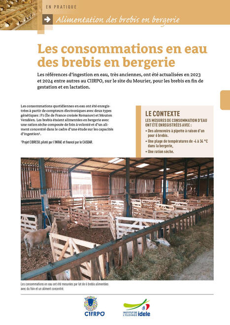 &raquo; Le sursemis : une technique exigeante | SCIENCES DE L' ANIMAL | Scoop.it
