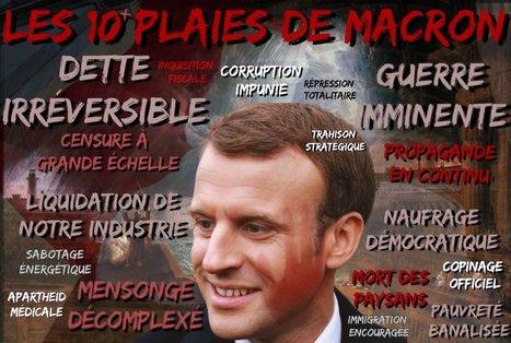 Macron aux 10 plaies | Campagnes en France | Scoop.it