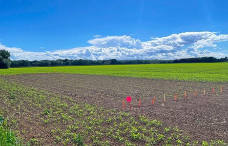 Canicule : &laquo; Dans vingt ans, on n&rsquo;arrivera plus &agrave; produire du bl&eacute; &raquo;&hellip; Cette ferme pr&eacute;pare l&rsquo;agriculture du futur - Yahoo Actualit&eacute;s France | Paysage - Agriculture | Scoop.it
