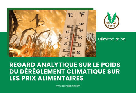 Climateflation: quand le climat fait grimper les prix alimentaires&nbsp; | Revue de presse &eacute;conomique du Sud Touraine | Scoop.it