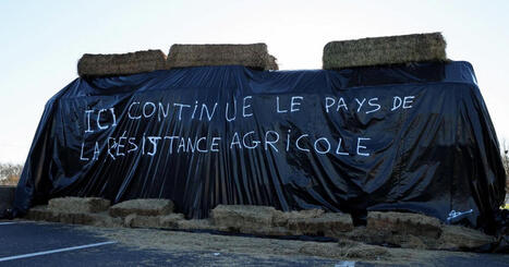 Dermatose nodulaire: la col&egrave;re agricole monte d&rsquo;un cran, la vaccination &eacute;largie | Actualit&eacute; B&eacute;tail | Scoop.it