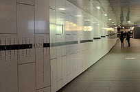 800 000 ans sur une frise chronologique ! | Ressources d'apprentissage gratuites | Scoop.it