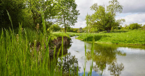 Compensation écologique : la Banque des territoires et CDC Biodiversité créent une foncière de biodiversité | ECOLOGIE - ENVIRONNEMENT | Scoop.it