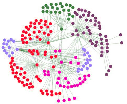 Cooperative communities emerge in transparent social networks - Phys.Org | Peer2Politics | Scoop.it