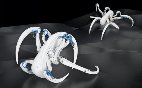 Festo’s latest bio-inspired creations are a robo-bat and rolling robo-spider | #STEM #Robotics #Robots | 21st Century Innovative Technologies and Developments as also discoveries, curiosity ( insolite)... | Scoop.it