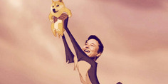 Elon Musk: Dogecoin Can Beat Bitcoin &lsquo;Hands Down&rsquo; | Cryptocurrencies and NFT Report | Scoop.it