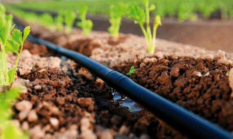 MAROC : dans le top 5 des pays ciblés par le fonds Acumen | AFRIQUES | Scoop.it